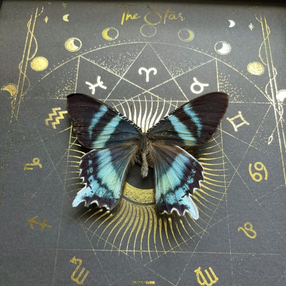 The Star Tarot Card