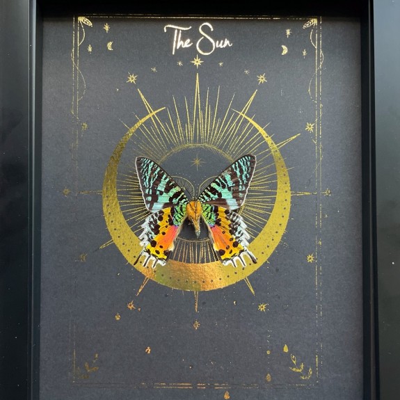 The Sun Tarot Card