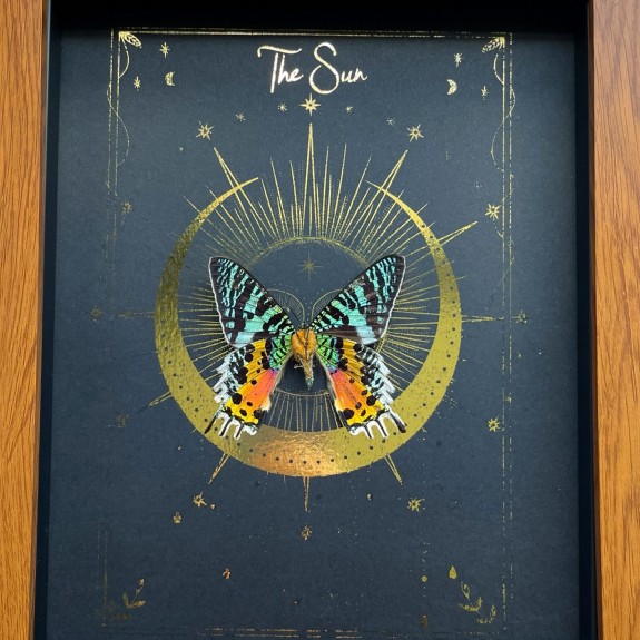 The Sun Tarot Card