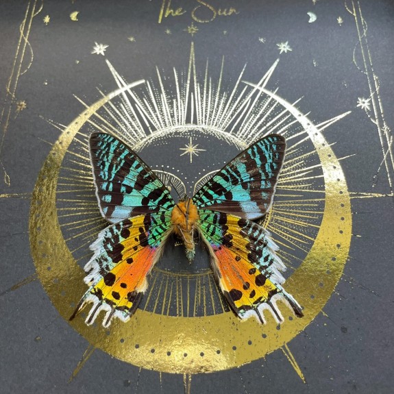 The Sun Tarot Card