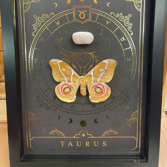 Taurus Zodiac with Gem Stone