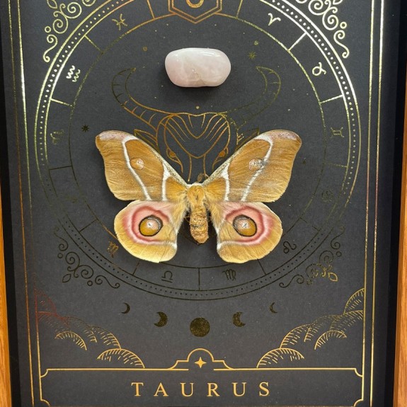 Taurus Zodiac with Gem Stone