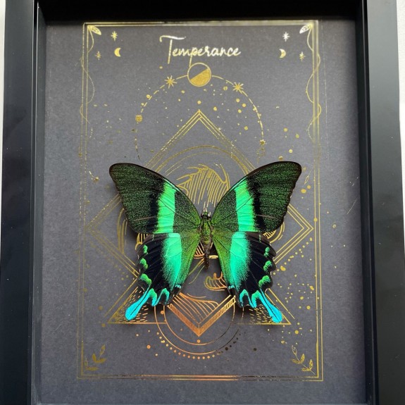 Temperance Tarot Card