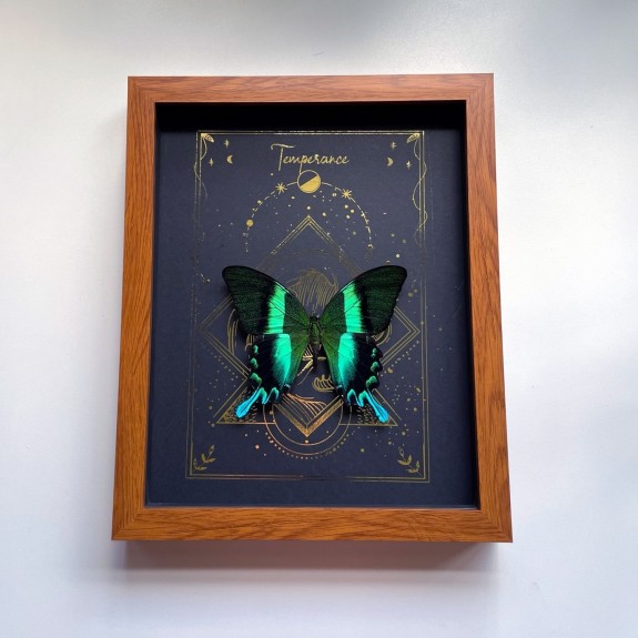 Temperance Tarot Card