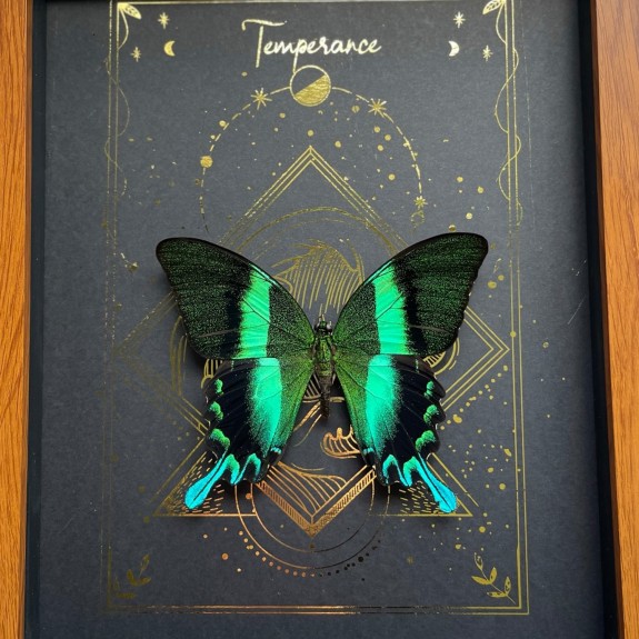Temperance Tarot Card