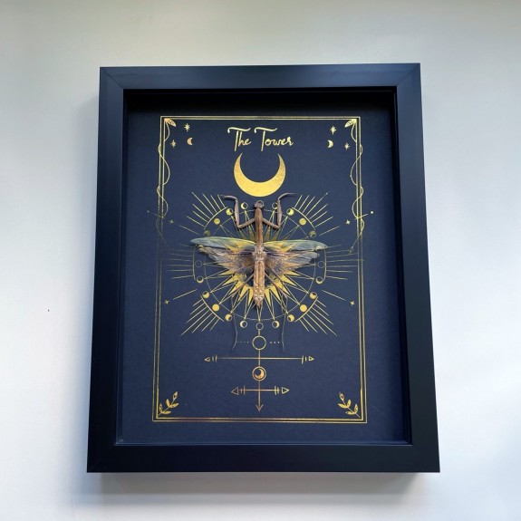 The Tower Tarot Card